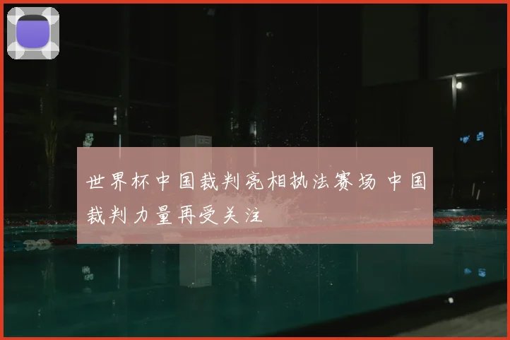 世界杯中国裁判亮相执法赛场 中国裁判力量再受关注