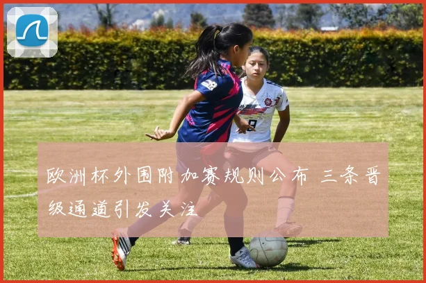 欧洲杯外围附加赛规则公布 三条晋级通道引发关注
