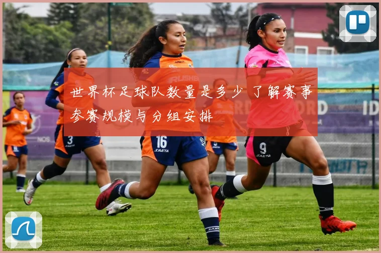 世界杯足球队数量是多少 了解赛事参赛规模与分组安排